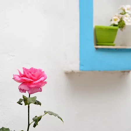 Apartmán Perivoli *
