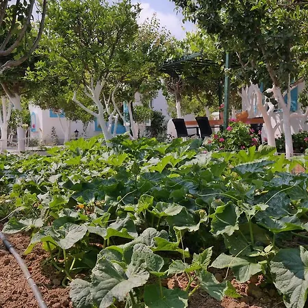 Perivoli Apartmán Naxos City