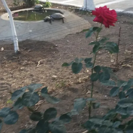 Perivoli Apartmán *